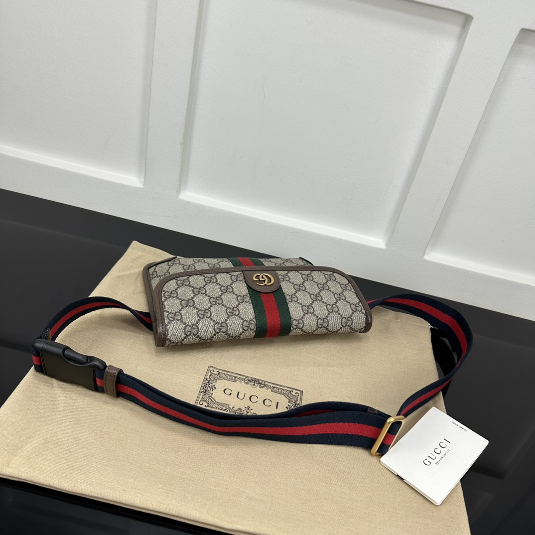 Gucci Waist Chest Packs